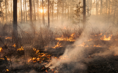 Il Piemonte continua a bruciare: 12 incendi ancora aperti. Situazione critica sul monte Barone