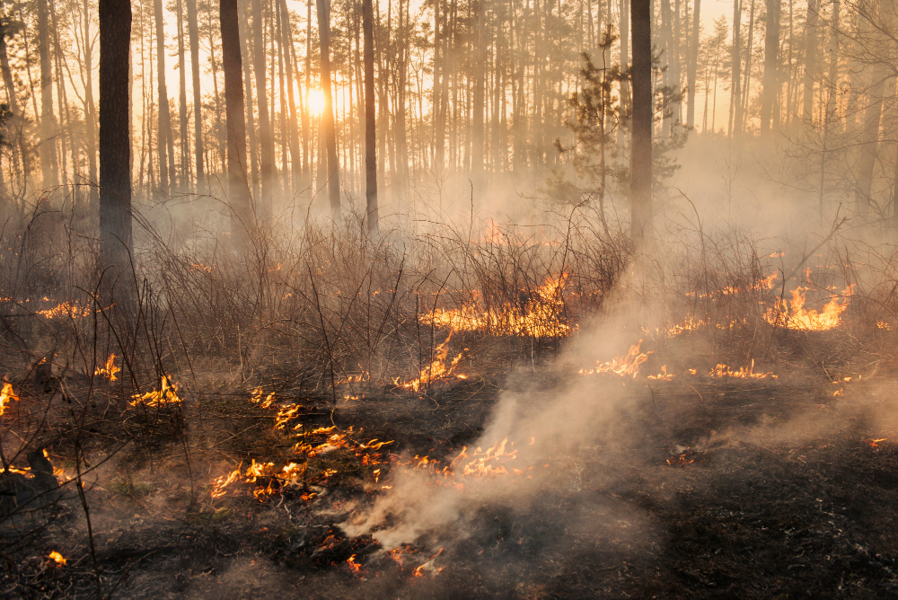 Il Piemonte continua a bruciare: 12 incendi ancora aperti. Situazione critica sul monte Barone