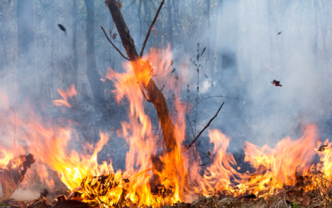 Incendio a San Cristoforo, fiamme divampano nuovamente