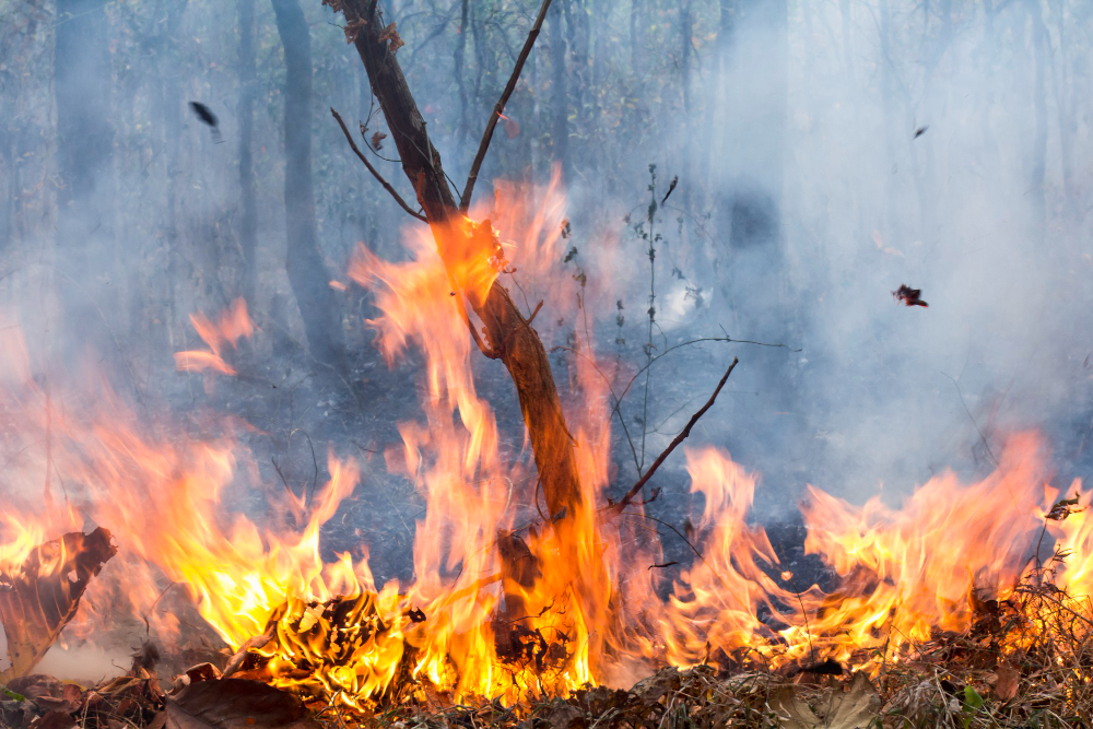 Incendio a San Cristoforo, fiamme divampano nuovamente