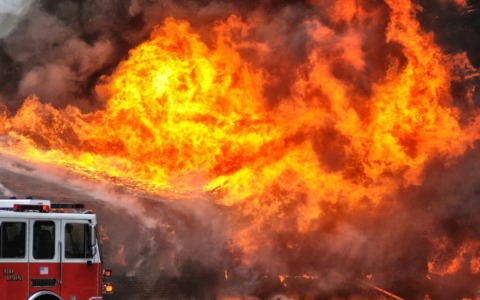 Incendio nella pineta: fiamme riattizzate dal vento