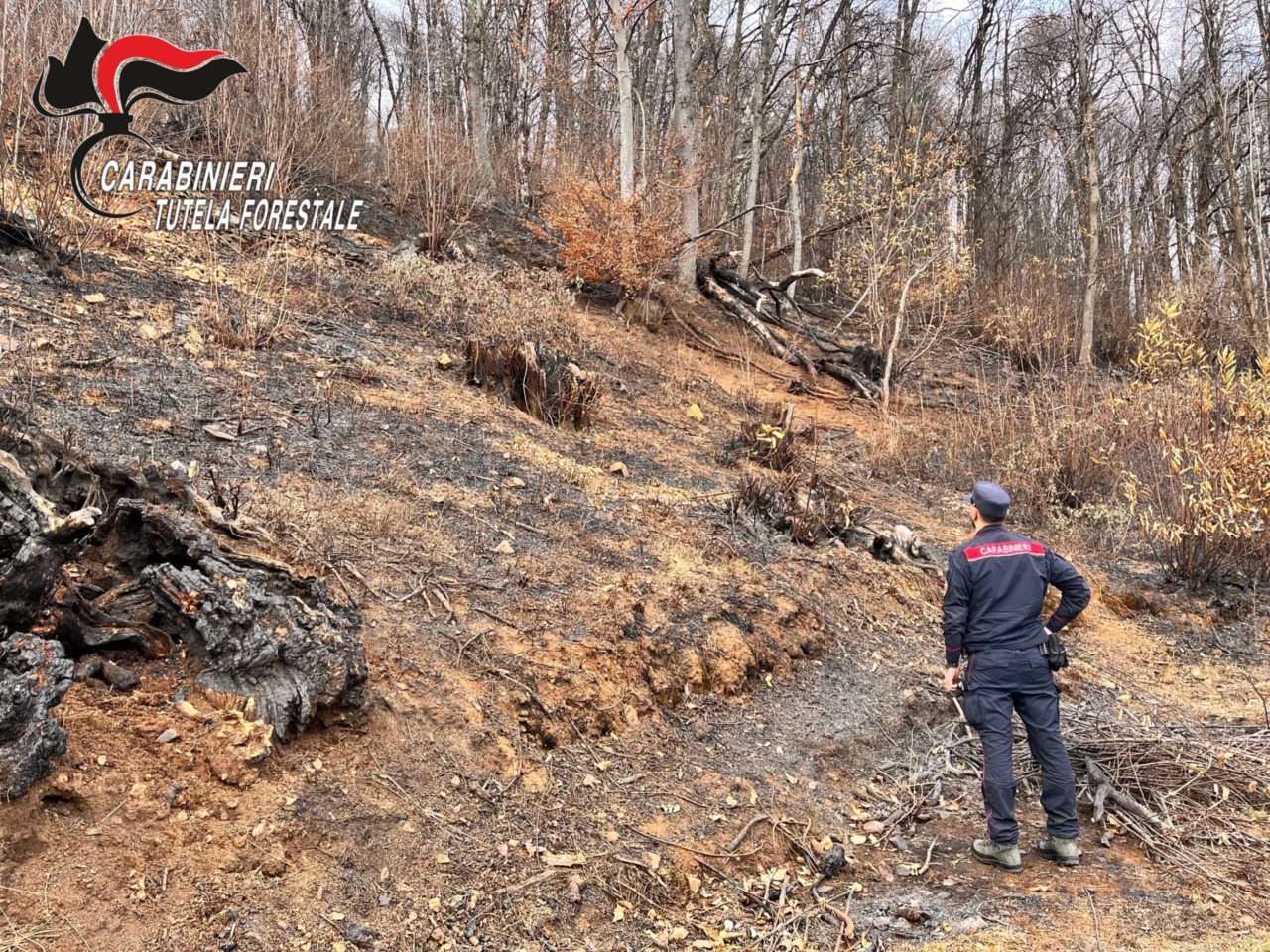 Incendi boschivi, in Piemonte estate da record: 20 denunciati e oltre 91mila euro di sanzioni