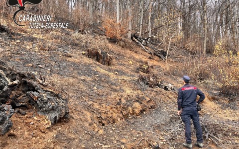 Incendi boschivi, in Piemonte estate da record: 20 denunciati e oltre 91mila euro di sanzioni
