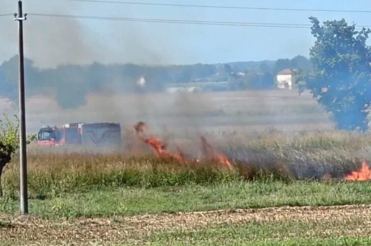 Incendio di sterpaglie a San Michele: intervenuti i Vigili del Fuoco