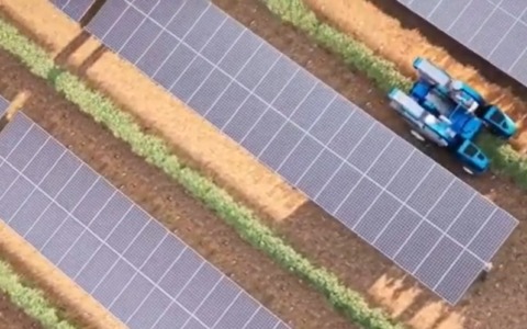 Impianto agrivoltaico a Cascina Maddalena nel quartiere Cristo: le associazioni chiedono un confronto 