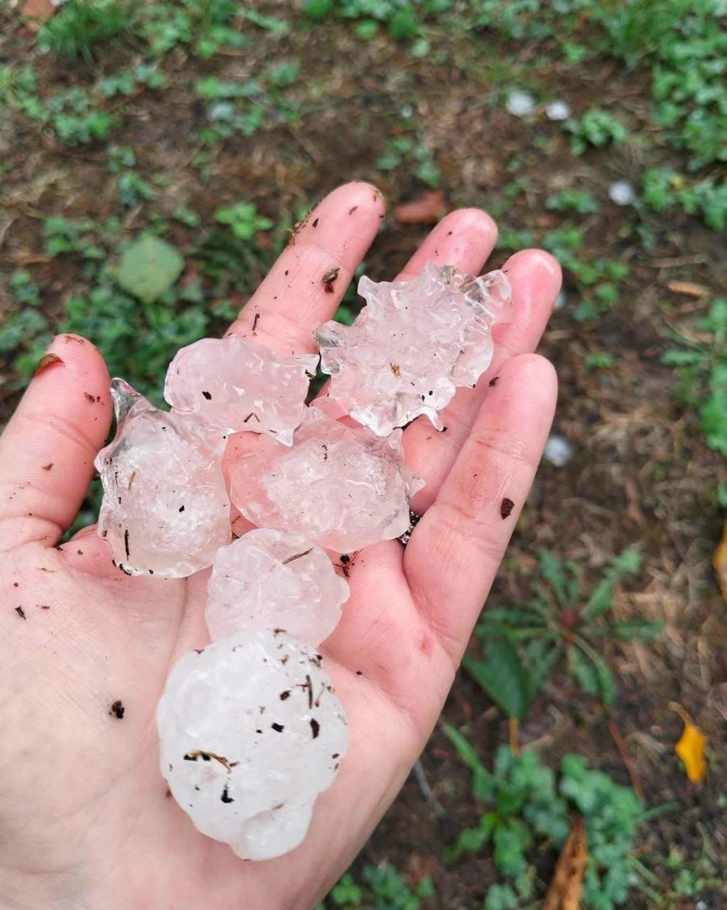 Maltempo in provincia: grossi chicchi di grandine a Piovera, Valenza e Sale
