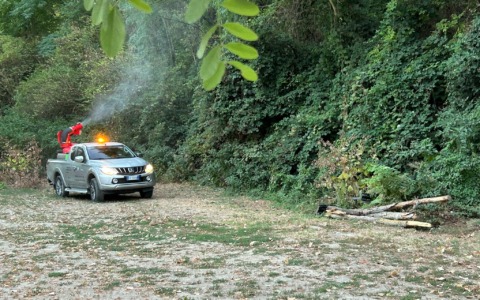 Rivarone, nuovo intervento contro le zanzare: trattamento rafforzato nella zona nord-est