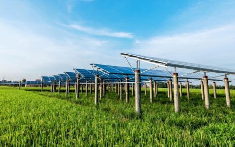 Agrivoltaico al quartiere Cristo, il comitato “Salviamo le Cascine” chiede alla Provincia un diniego