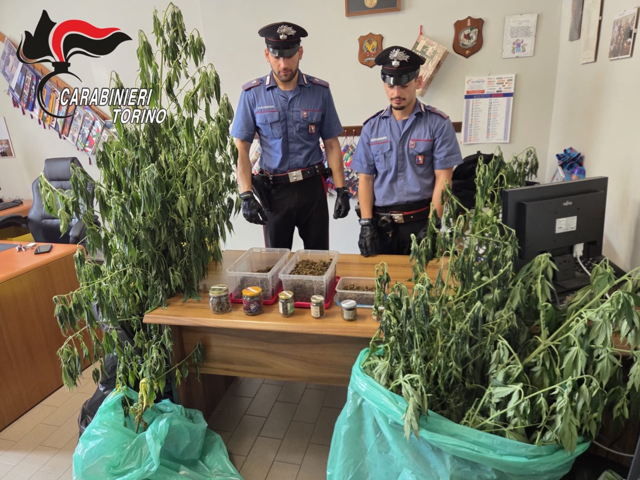 Cinque arresti per droga nel Torinese: sequestrati oltre 10 chili di stupefacenti