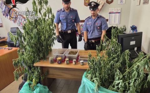 Cinque arresti per droga nel Torinese: sequestrati oltre 10 chili di stupefacenti