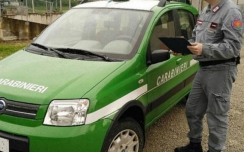 Avigliana, maxi-intervento in una cascina: salvati oltre 70 animali rimasti incustoditi