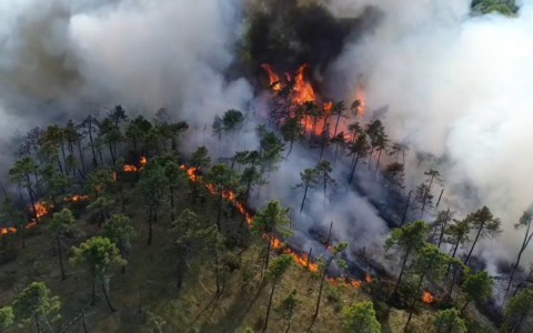 Incendi boschivi e siccità: la Regione estende all’intero Piemonte lo stato di emergenza regionale