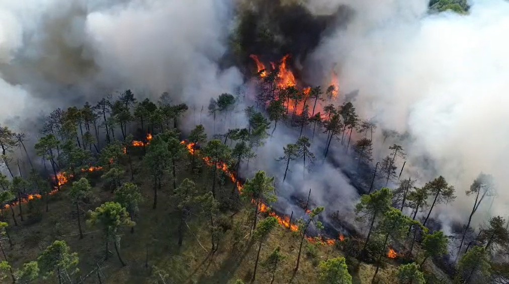 Incendi boschivi e siccità: la Regione estende all’intero Piemonte lo stato di emergenza regionale