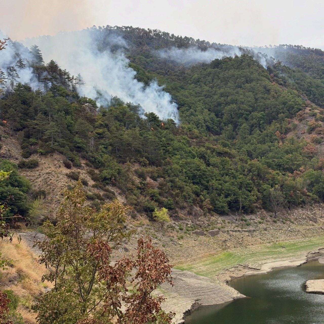 Incendio di Mornese, proseguono le operazioni di spegnimento e di bonifica