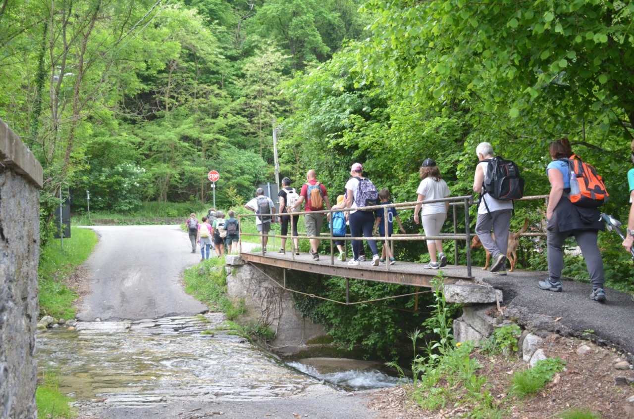 Giornata mondiale dei fiumi: una camminata teatrale lungo il torrente Scarpia