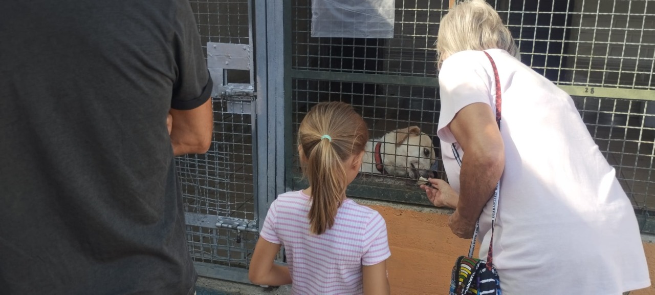 Circa cinquecento visitatori al canile Cascina Rosa di Valmadonna per la “Festa a 4 zampe”