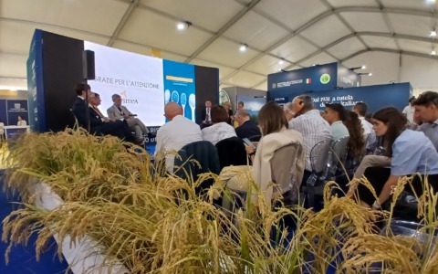 Vercelli capitale del riso: la premier Meloni inaugura la seconda edizione di Risò