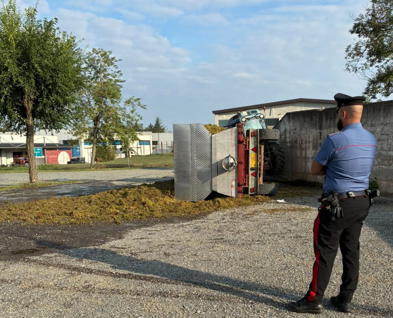 Cade dal trattore mentre trasporta l’uva: 35enne ferito a Capriata d’Orba