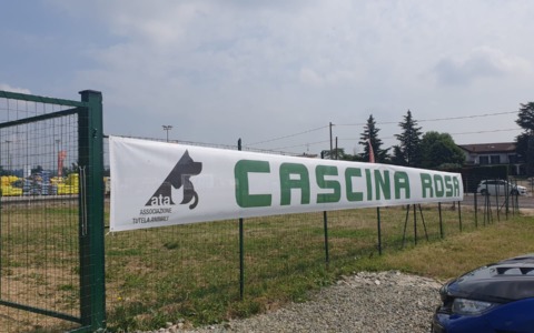 Domenica porte aperte per la Festa a 4 zampe a Cascina Rosa ad Alessandria