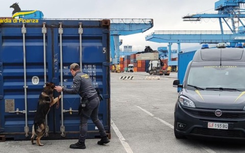 La droga nascosta nell’aspirapolvere. La Guardia di Finanza di Genova sequestra 35 chili di hashish
