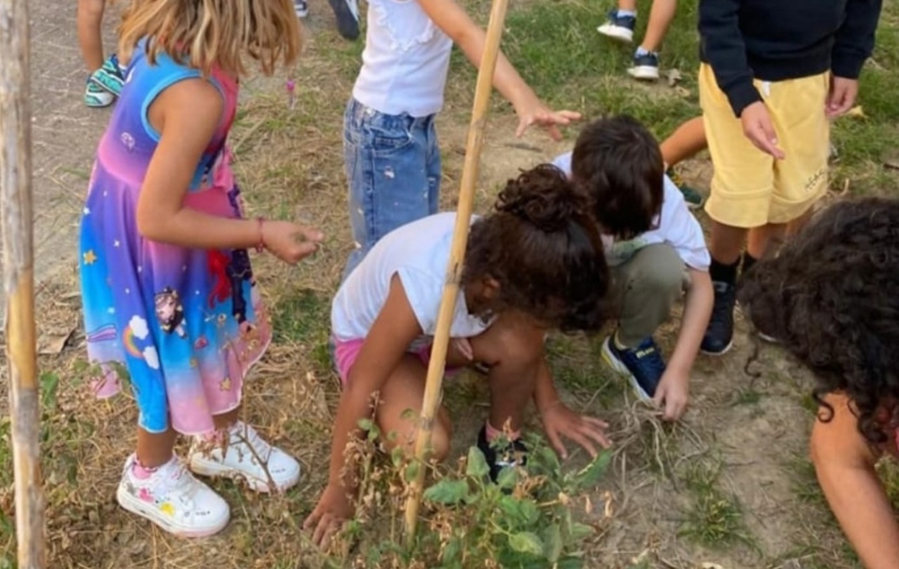 Al via nella scuola dell’infanzia di Mandrogne il progetto “Orto di San Francesco”