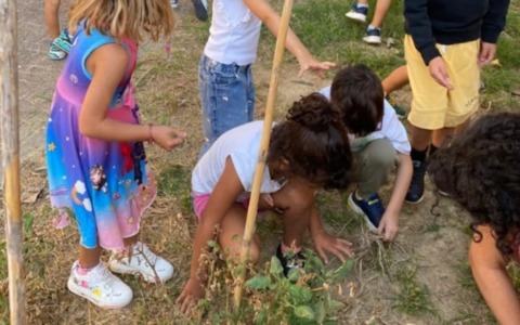 Al via nella scuola dell’infanzia di Mandrogne il progetto “Orto di San Francesco”