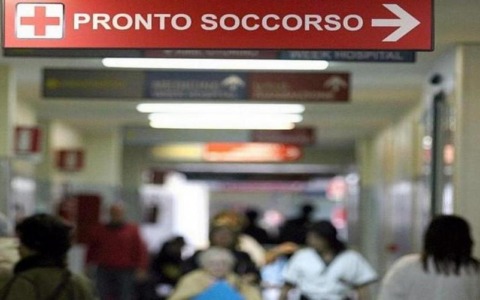 Morso al collo da una vipera nascosta nello zaino: 50enne salvato all’ospedale di Rivoli