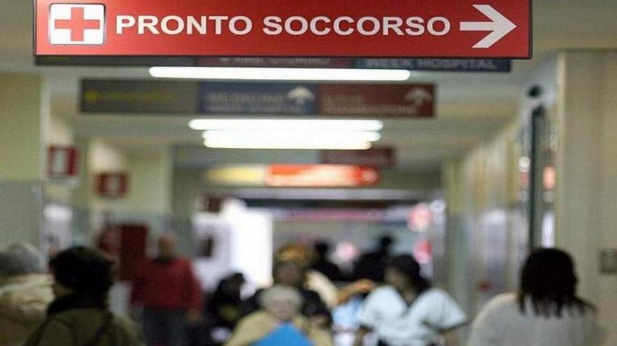 Morso al collo da una vipera nascosta nello zaino: 50enne salvato all’ospedale di Rivoli