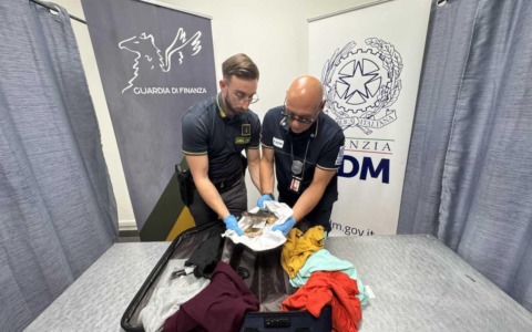 Denunciato passeggero dell’aeroporto di Caselle con una testa di coccodrillo tra i bagagli