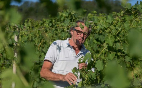 La storia del Timorasso: a Filo Diretto l’imprenditore vitivinicolo Walter Massa