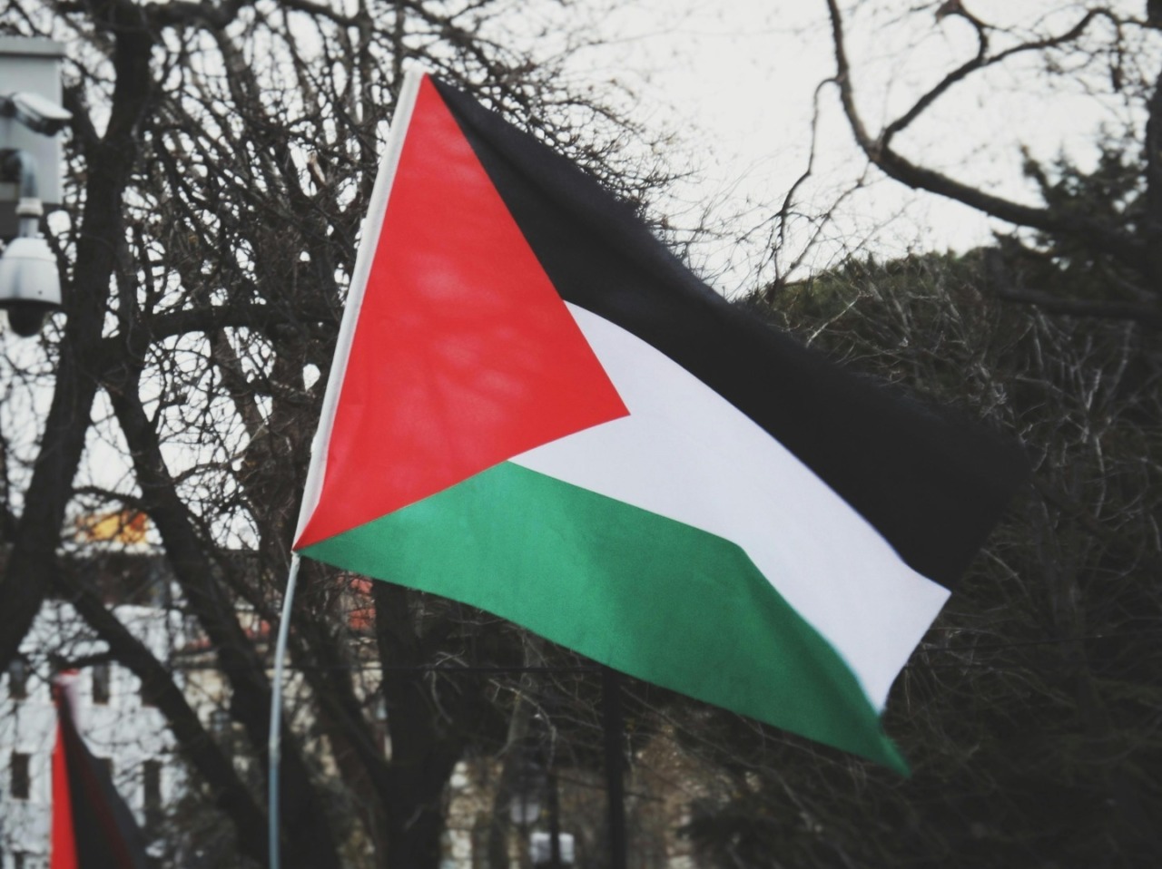 Manifestazione per Gaza, polemica su invito del Liceo Amaldi: Forza Italia chiede chiarimenti