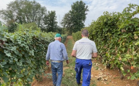 Poste Italiane: il recapito tra le vigne del Monferrato