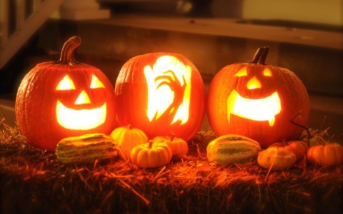 Cosa fare ad Alessandria e provincia: gli eventi del weekend del 31 ottobre e 1 novembre 2026